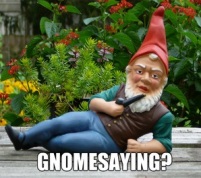 gnome sayin